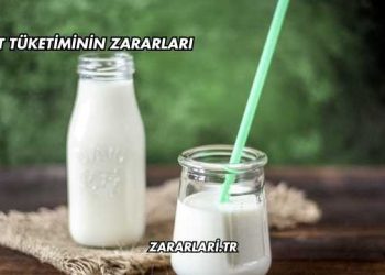 Süt Tüketiminin Zararları