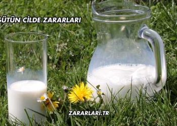 Sütün Cilde Zararları