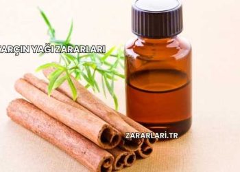 Tarçın Yağı Zararları