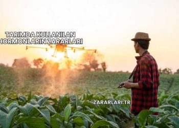Tarımda Kullanılan Hormonların Zararları