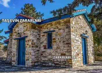 Taş Evin Zararları