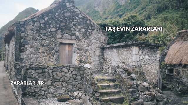 Taş Evin Zararları