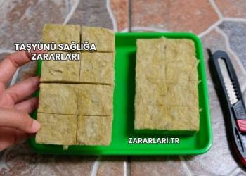 Taşyünü Sağlığa Zararları