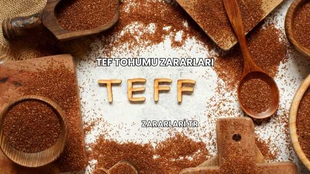 Tef Tohumu Zararları
