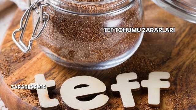 Tef Tohumu Zararları