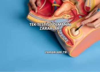 Tek Testisli Olmanın Zararları
