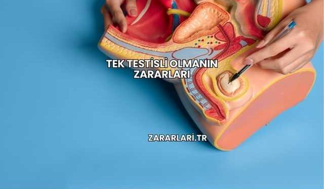 Tek Testisli Olmanın Zararları