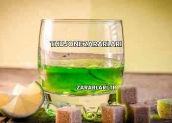 Thujone Zararları