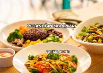 Veganlığın Zararları