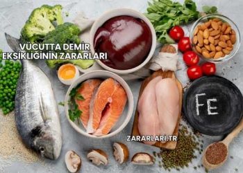 Vücutta Demir Eksikliğinin Zararları