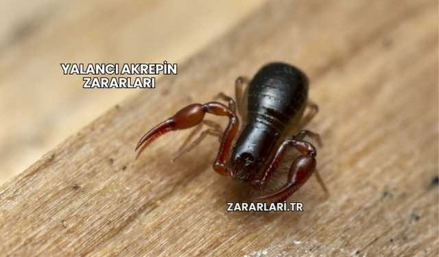 Yalancı Akrepin Zararları