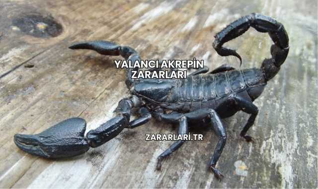 Yalancı Akrepin Zararları