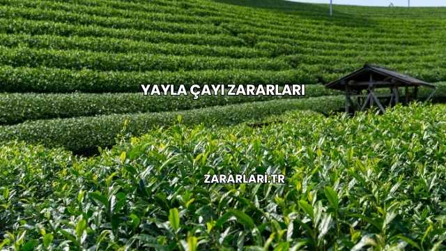 Yayla Çayı Zararları