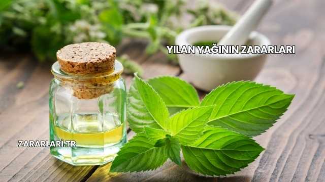 Yılan Yağının Zararları
