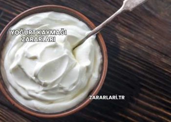 Yoğurt Kaymağı Zararları