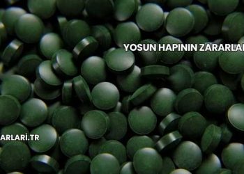 Yosun Hapının Zararları
