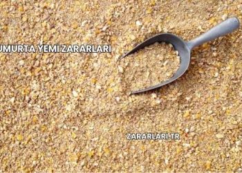 Yumurta Yemi Zararları