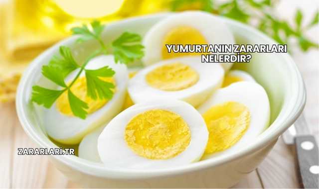 Yumurtanın Zararları Nelerdir?