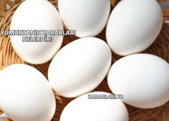Yumurtanın Zararları Nelerdir?