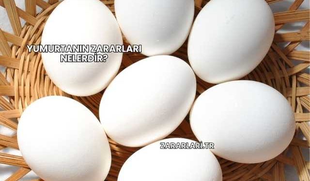 Yumurtanın Zararları Nelerdir?