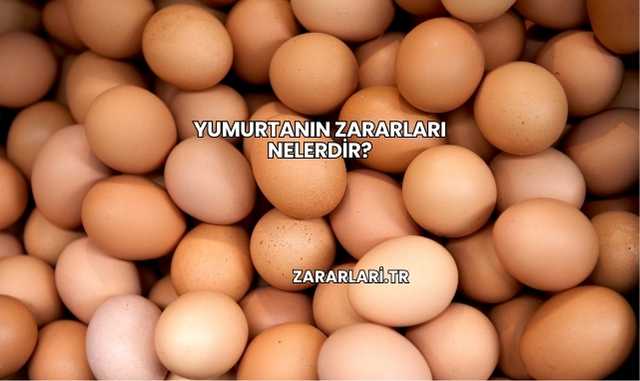 Yumurtanın Zararları Nelerdir?