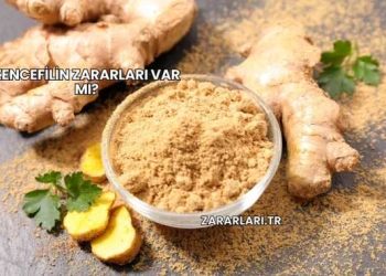 Zencefilin Zararları Var mı?