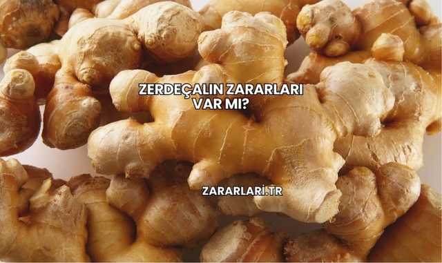 Zerdeçalın Zararları Var mı?