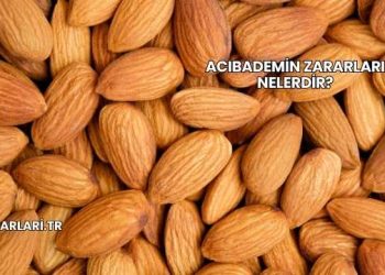 Acıbademin Zararları Nelerdir?