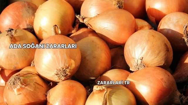 Ada Soğanı Zararları