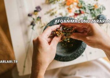 Afgan Macunu Zararları