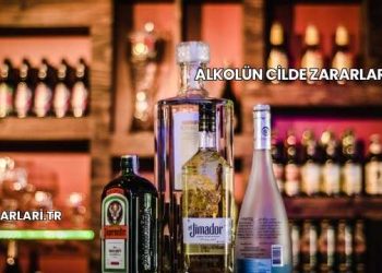 Alkolün Cilde Zararları