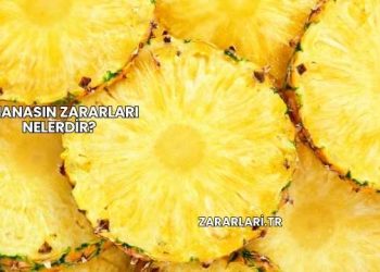 Ananasın Zararları Nelerdir?