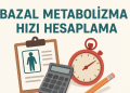Bazal Metabolizma Hızı Hesaplama