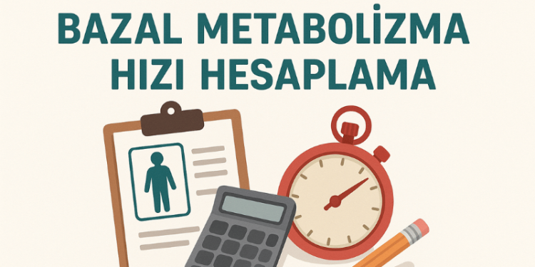 Bazal Metabolizma Hızı Hesaplama