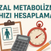 Bazal Metabolizma Hızı Hesaplama