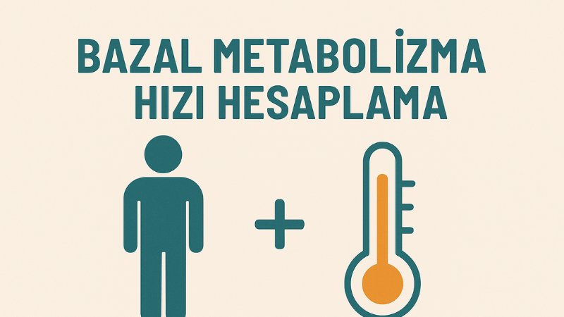 Bazal Metabolizma Hızı Hesaplama
