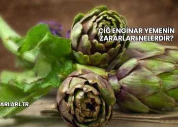 Çiğ Enginar Yemenin Zararları Nelerdir?