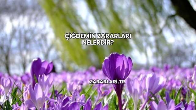 Çiğdemin Zararları Nelerdir?