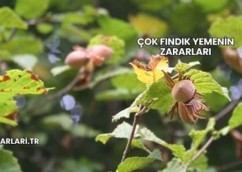 Çok Fındık Yemenin Zararları