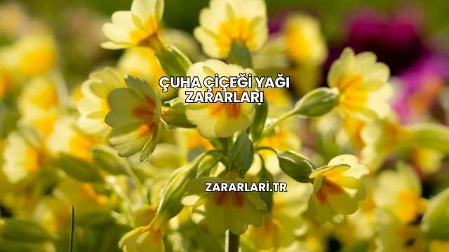 Çuha Çiçeği Yağı Zararları