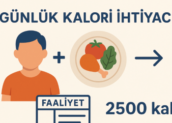 Günlük Kalori İhtiyacı Hesaplama