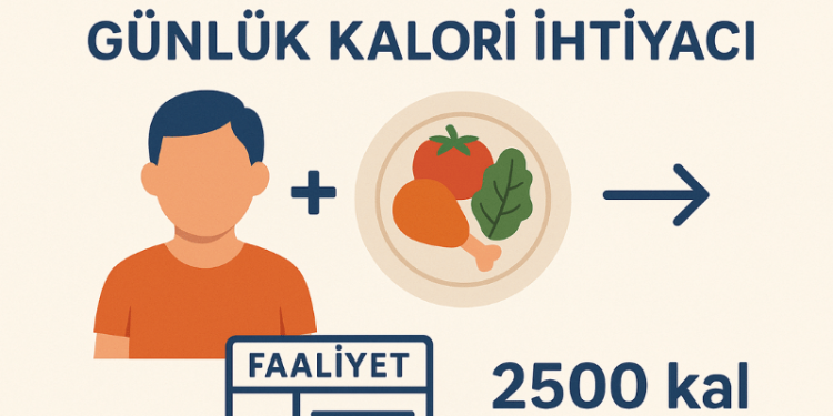 Günlük Kalori İhtiyacı Hesaplama