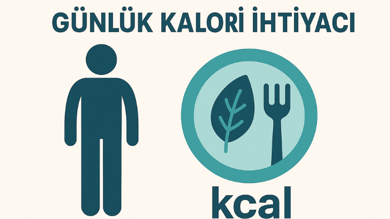 Günlük Kalori İhtiyacı Hesaplama