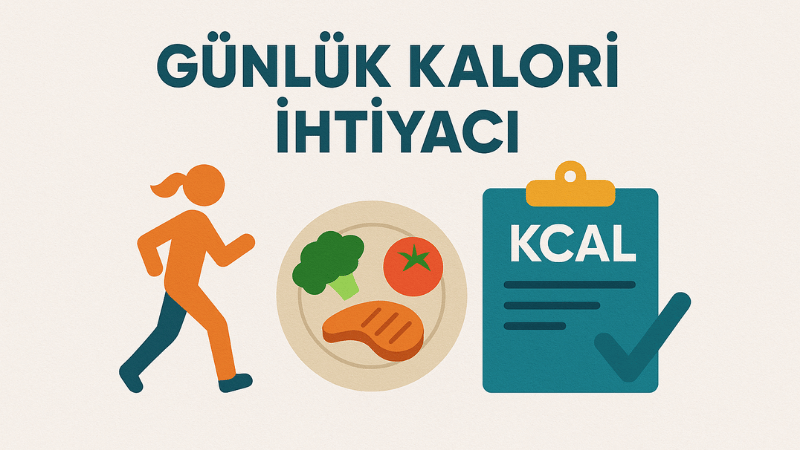 Günlük Kalori İhtiyacı Hesaplama