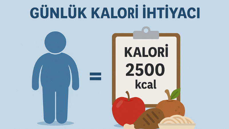 Günlük Kalori İhtiyacı Hesaplama