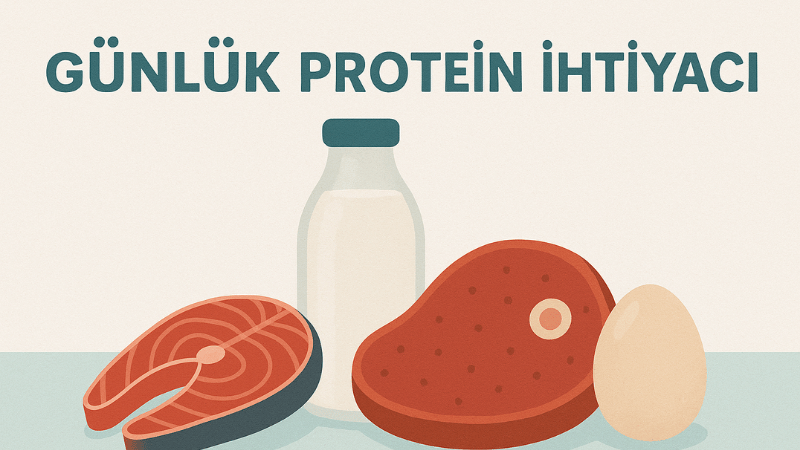 Günlük Protein İhtiyacı Hesaplama