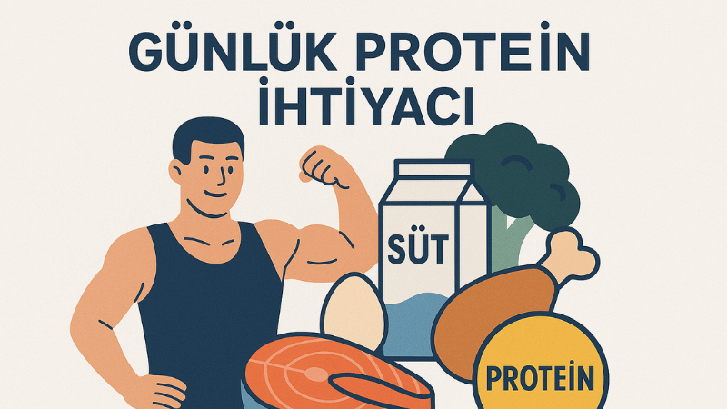 Günlük Protein İhtiyacı Hesaplama