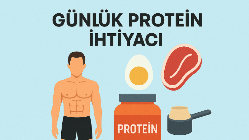 Günlük Protein İhtiyacı Hesaplama