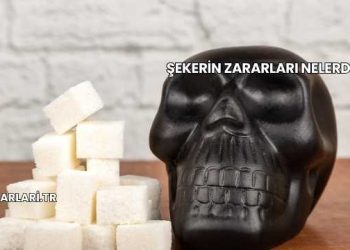 Şekerin Zararları Nelerdir?
