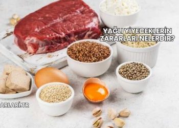 Yağlı Yiyeceklerin Zararları Nelerdir?